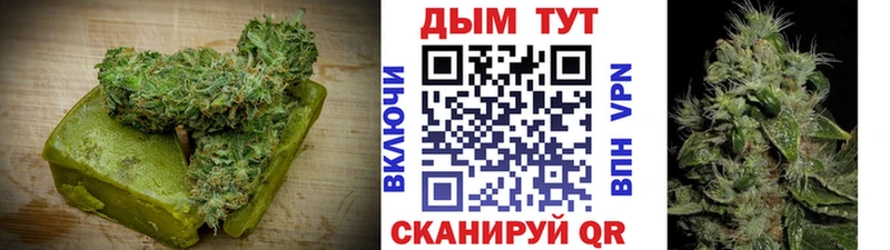 Canna-Cookies марихуана  omg ссылки  это наркотические препараты  Нововоронеж 