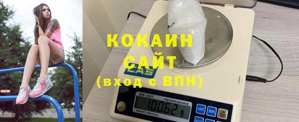 индика Михайловка