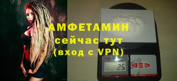 гашик Михайлов