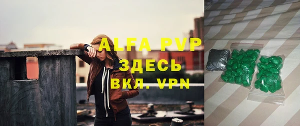 гашик Михайлов