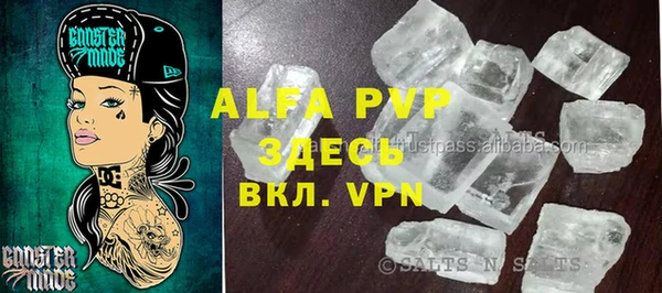 гашик Михайлов