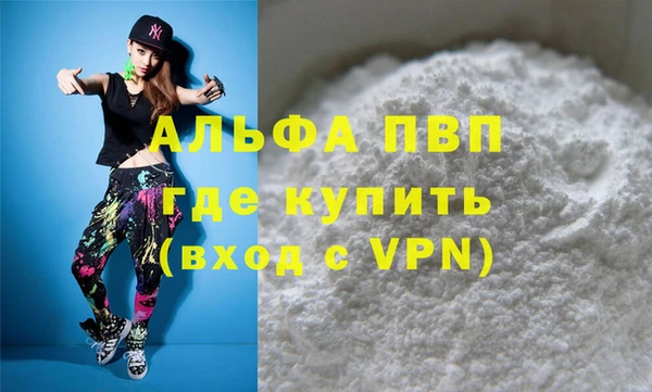 стаф Надым