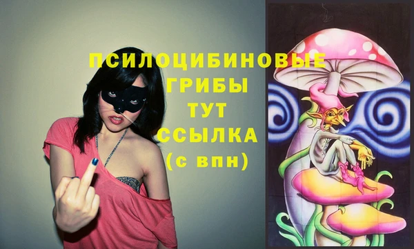 ПСИЛОЦИБИНОВЫЕ ГРИБЫ Наволоки
