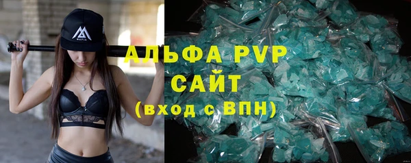 шишки Михайловск
