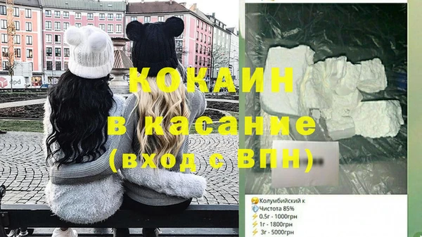 индика Михайловка
