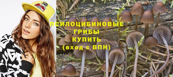 гашик Михайлов