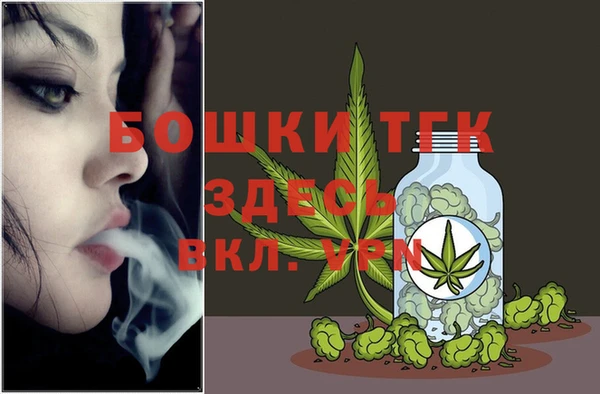 шишки Михайловск