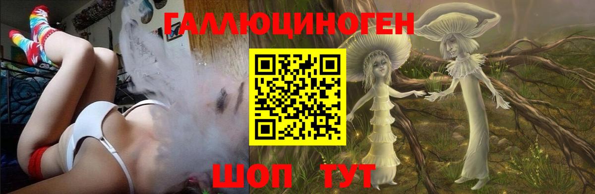 купить наркотик  Нововоронеж  Псилоцибиновые грибы Psilocybe 