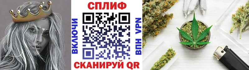Каннабис семена  Нововоронеж 